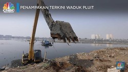 Alami Pendangkalan, Begini Penampakan Waduk Pluit
