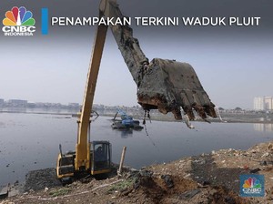 Alami Pendangkalan, Begini Penampakan Waduk Pluit
