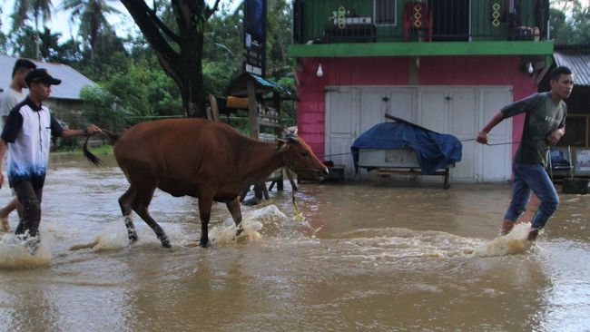 Banjir Rendam Rumah Warga Tiga Desa di Aceh Jaya