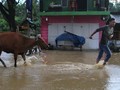 Banjir Rendam Rumah Warga Tiga Desa di Aceh Jaya