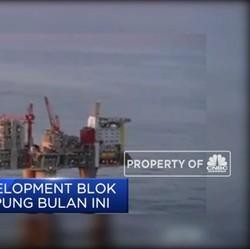 Waduh, Proyek Gas Rp 288 T RI-Jepang Batal Diteken di G20