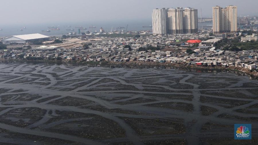 Saat ini sepertiga luas Waduk Pluit, Jakarta Utara, mengalami pendangkalan.