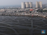 Lihatlah, Seperti Ini Penampakan Terbaru Waduk Pluit