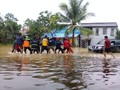 Cara Aman Terobos Banjir saat Gunakan Mobil Matik