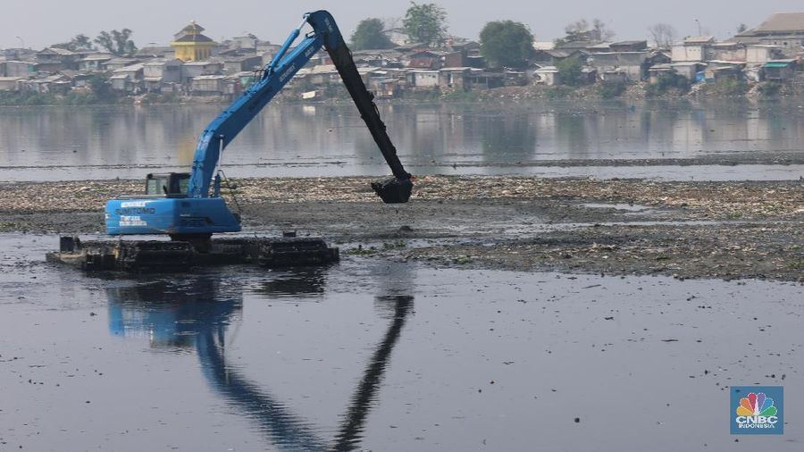 Saat ini sepertiga luas Waduk Pluit, Jakarta Utara, mengalami pendangkalan.