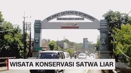 VIDEO: Wisata Konservasi Satwa Liar