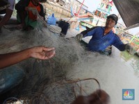 Nelayan Cirebon Lagi Mancing Ketemu Harta Karun Rp 720 M di Laut Jawa