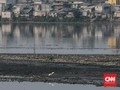 DPRD DKI Bakal Panggil Dinas SDA soal Sampah Waduk Pluit