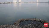 Waduk Pluit adalah sarana pengendali banjir utama untuk mengatasi banjir di DKI Jakarta. Waduk ini memiliki luas 80 hektare, dengan dam catchment area 2.400 hektare. (CNNIndonesia/Andry Novelino).