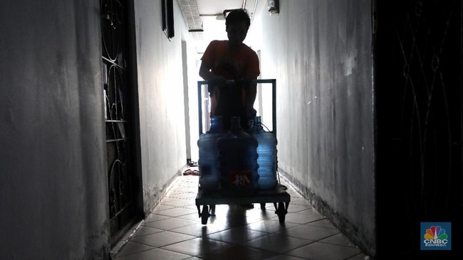 Asal Usul Kata "Babu" Terungkap, Tak Terduga Ini Artinya