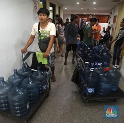 10.000 Pembantu Rumah Tangga di RI Sepakat Pilih Capres Ini