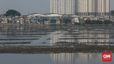 Berawal dari retweet Menteri KKP Susi Pudjiastuti atas berita foto kondisi memprihatinkan Waduk Pluit di Jakarta Utara, publik lantas menyoroti kondisi pendangkalan di waduk tersebut. (CNN Indonesia/Andry Novelino)