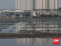 FOTO: Potret Pendangkalan Waduk Pluit Jakarta