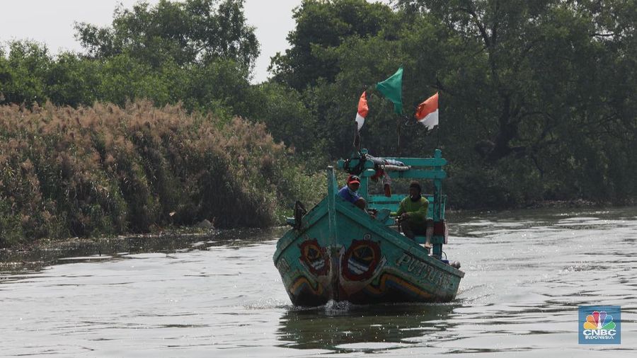Sejumlah nelayan rajungan menyiapkan jaring yang akan digunakan untuk mencari hasil laut di Kaliadem, Muara Angke, Jakarta Utara, Rabu (12/6/2019). Sebagaian besar nelayan masih berada di kampung halaman masing-masing untuk merayakan Lebaran.
Sebelumnya, Badan Meteorologi, Klimatologi, dan Geofisika (BMKG) memberi peringatan dini terhadap adanya gelombang tinggi. Status Waspada (tinggi gelombang 1,25 - 2,5 meter) diperkirakan terjadi di Laut Jawa. Sementara untuk status Berbahaya (2,5 - 4 meter) dan Sangat Berbahaya (4 - 6 meter) diperkirakan terjadi di sebagian perairan timur dan selatan Indonesia. Peringatan tersebut berlaku mulai 12 Juni sampai 15 Juni 2019.
Meskipun ada peringatan dari BMKG, nelayan di Kaliadem tetap melaut. Untuk mengisi waktu luang pada siang hari, para nelayan menyiapkan jaring, membersihkan perahu, dan memilah hasil laut. Dalam sehari, para nelayan bisa mendapatkan 10 - 20 kilogram hasil laut yang terdiri dari ikan, kerang, dan rajungan. (CNBC Indonesia/Muhammad Sabki)