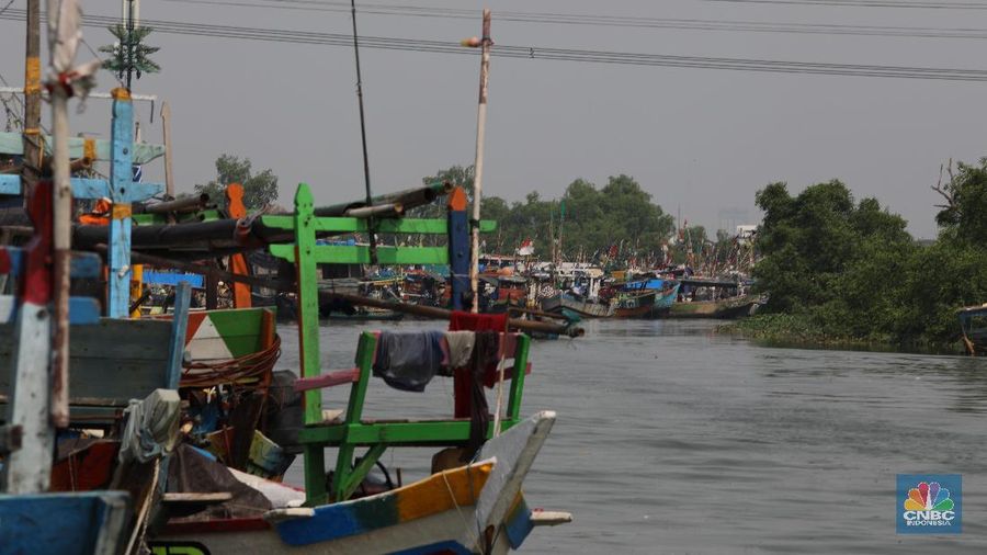 Sejumlah nelayan rajungan menyiapkan jaring yang akan digunakan untuk mencari hasil laut di Kaliadem, Muara Angke, Jakarta Utara, Rabu (12/6/2019). Sebagaian besar nelayan masih berada di kampung halaman masing-masing untuk merayakan Lebaran.
Sebelumnya, Badan Meteorologi, Klimatologi, dan Geofisika (BMKG) memberi peringatan dini terhadap adanya gelombang tinggi. Status Waspada (tinggi gelombang 1,25 - 2,5 meter) diperkirakan terjadi di Laut Jawa. Sementara untuk status Berbahaya (2,5 - 4 meter) dan Sangat Berbahaya (4 - 6 meter) diperkirakan terjadi di sebagian perairan timur dan selatan Indonesia. Peringatan tersebut berlaku mulai 12 Juni sampai 15 Juni 2019.
Meskipun ada peringatan dari BMKG, nelayan di Kaliadem tetap melaut. Untuk mengisi waktu luang pada siang hari, para nelayan menyiapkan jaring, membersihkan perahu, dan memilah hasil laut. Dalam sehari, para nelayan bisa mendapatkan 10 - 20 kilogram hasil laut yang terdiri dari ikan, kerang, dan rajungan. (CNBC Indonesia/Muhammad Sabki)