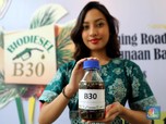 Kurangi Impor Minyak, B30 Siap Jalan Januari 2020