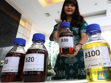 Campuran Sawit 35% ke BBM (B35) Batal Jalan Akhir Juli Ini?
