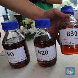 Ini Daftar 20 Badan Usaha Pemasok Biodiesel 9,2 Juta KL 2021