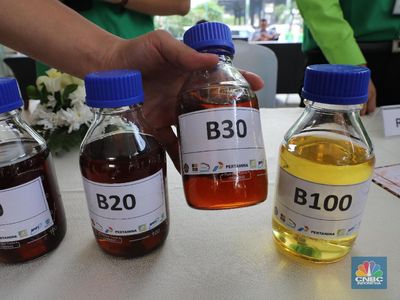 Petani Sawit Tolak Biodiesel B50, Minyak Goreng Terancam Langka-Mahal