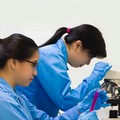 SOHO Bakal Stock Split Rasio 1:10, Simak Jadwalnya