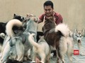 Anjing-anjing 'Keluarga' Agus Susilo