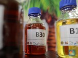 Bioetanol Bisa Jadi Bahan Bakar, Kapan RI Mau Ngembangin?