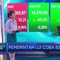 B30 Diujicoba, Ini Dampak Bagi Emiten Agri