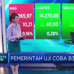 B30 Diujicoba, Ini Dampak Bagi Emiten Agri