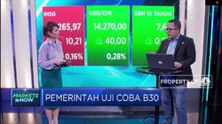 B30 Diujicoba, Ini Dampak Bagi Emiten Agri