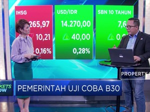 B30 Diujicoba, Ini Dampak Bagi Emiten Agri