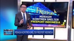 Menagih Janji Smelter Freeport Indonesia