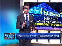 Menagih Janji Smelter Freeport Indonesia