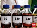 Harga Biodiesel Oktober Naik Jadi Rp7.358 per Liter Ikuti CPO