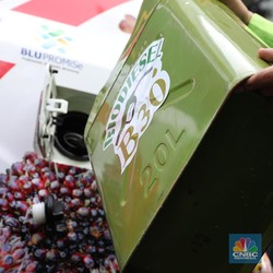 Hati-hati Pangkas B30 ke B20, Impor Solar Bisa Melonjak!