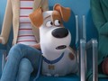 Ulasan Film: 'The Secret Life of Pets 2'