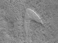 NASA Temukan Logo Star Trek di Permukaan Mars