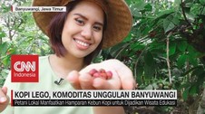 VIDEO: Kopi Lego, Komoditas Unggulan Banyuwangi
