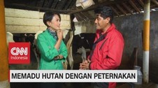 VIDEO: Memadu Hutan Dengan Peternakan (5-5)