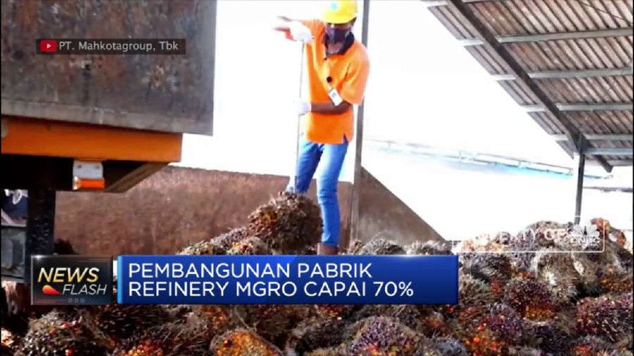 Tidak menutup kemungkinan, pemerintah Indonesia juga akan membawa persoalan ini ke WTO.