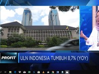 Mengendalikan ULN, Mendorong Pertumbuhan
