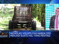 Pentingnya Stabilitas Harga CPO