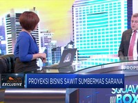 Proyeksi Bisnis Sawit SSMS