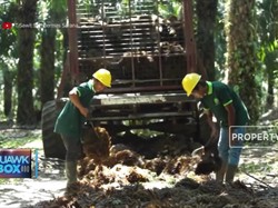 Sawit Sumbermas Restrukturisasi Pinjaman