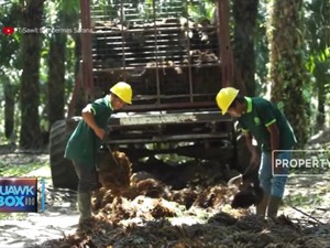 Sawit Sumbermas Restrukturisasi Pinjaman