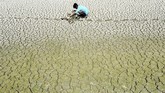 Secara umum gelombang panas berlangsung selama satu hingga dua hari, kemudian suhu akan kembali normal. Namun, di India gelombang panas berlansung lebih dari dua hari hingga menyebabkan korban jiwa. (Photo by ARUN SANKAR / AFP)