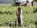 FOTO: Diterjang Gelombang Panas di India