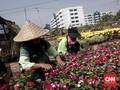 Selain Lidah Mertua, Urban Farming Juga Bisa Kurangi Polusi