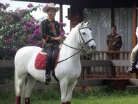 Sidang MK Selesai, Jokowi Bakal Temu 'Kangen' dengan Prabowo?