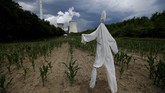 Orang-orangan pengusir hama berdiri tegak di suatu ladang jagung yang terletak di depan pembangkit listrik tenaga batu bara Neurath di Cologne, Jerman. (REUTERS/Wolfgang Rattay)