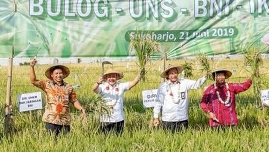 PT Bank Negara Indonesia Tbk mendukung kolaborasi antara Perum Bulog dan Universitas Negeri Sebelas Maret dalam merealisasikan bantuan bagi petani pangan.